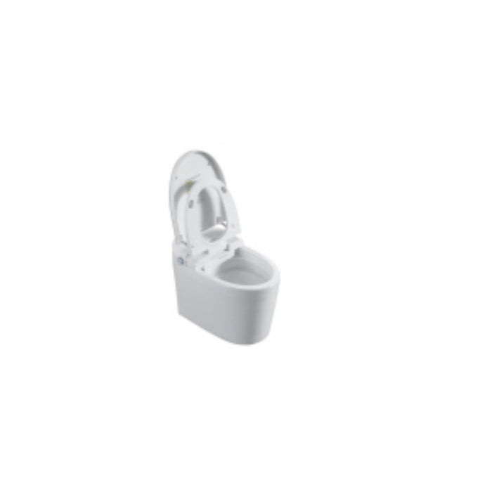 Tankless Smart Toilet With Bidet Built In, 1 Piece, Auto Flush, Auto Open / Close, Heated Seat, Bubble Wash, Warm Water And Dry, Adjustable Temp, Remote Control Side Know - White