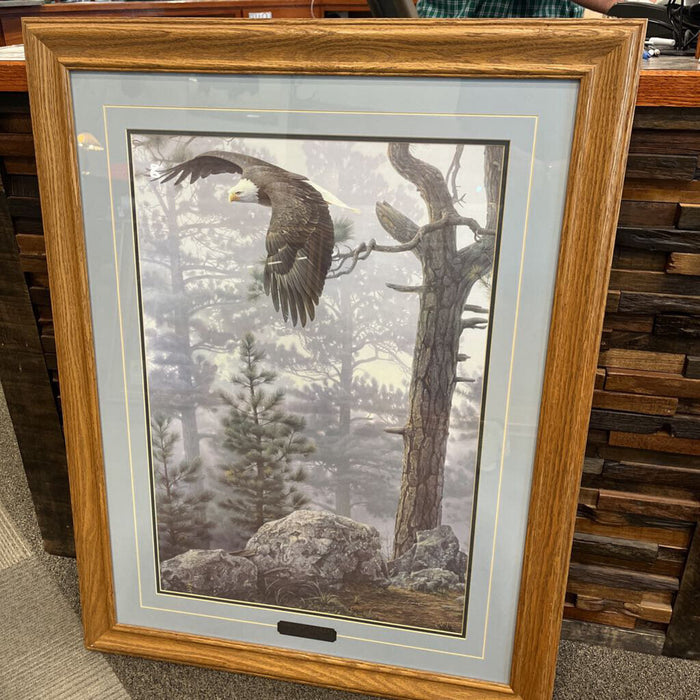 Daniel Smith "Shrouded Forest"