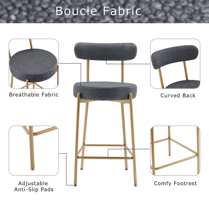 Modern Counter Height Bar Stools With Backs (Set of 2)
