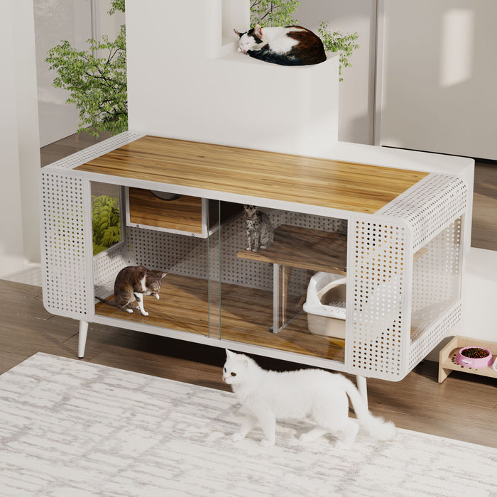 Cat House With Tempered Glass