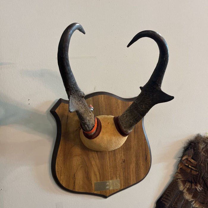 Pronghorn Euro Mount