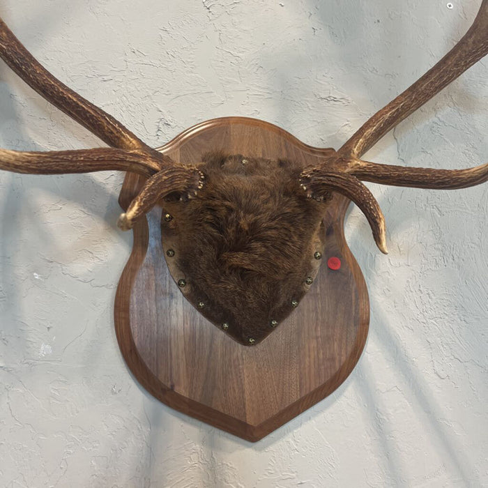 Elk Rack Mount