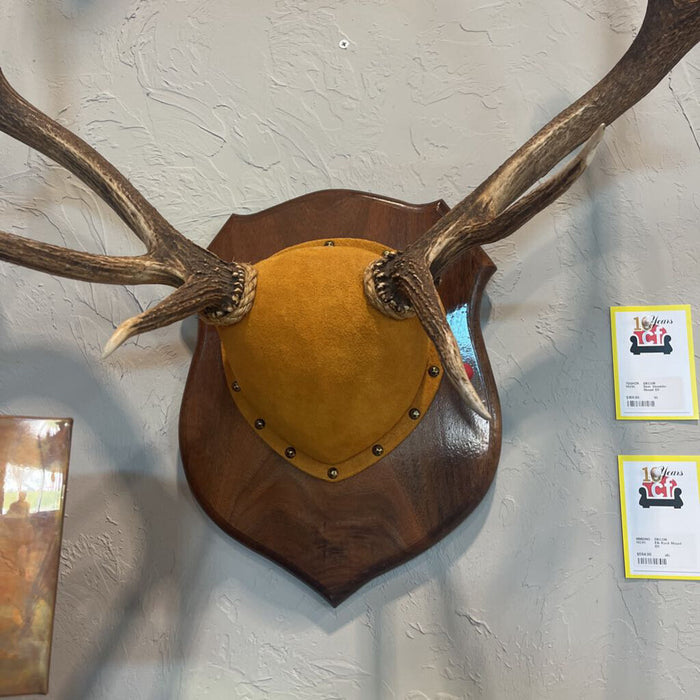 Elk Rack Mount