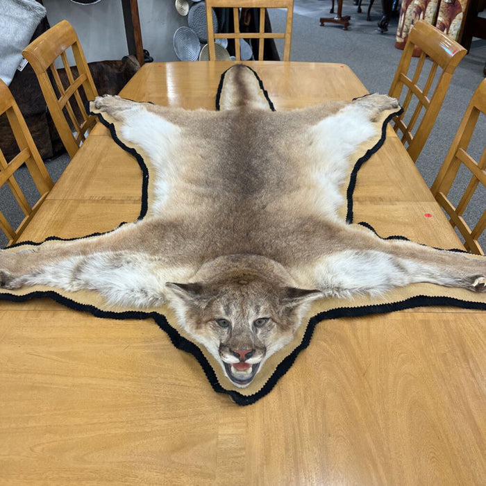 Mountain Lion Pelt Rug