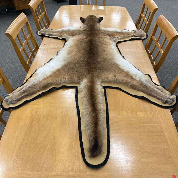 Mountain Lion Pelt Rug