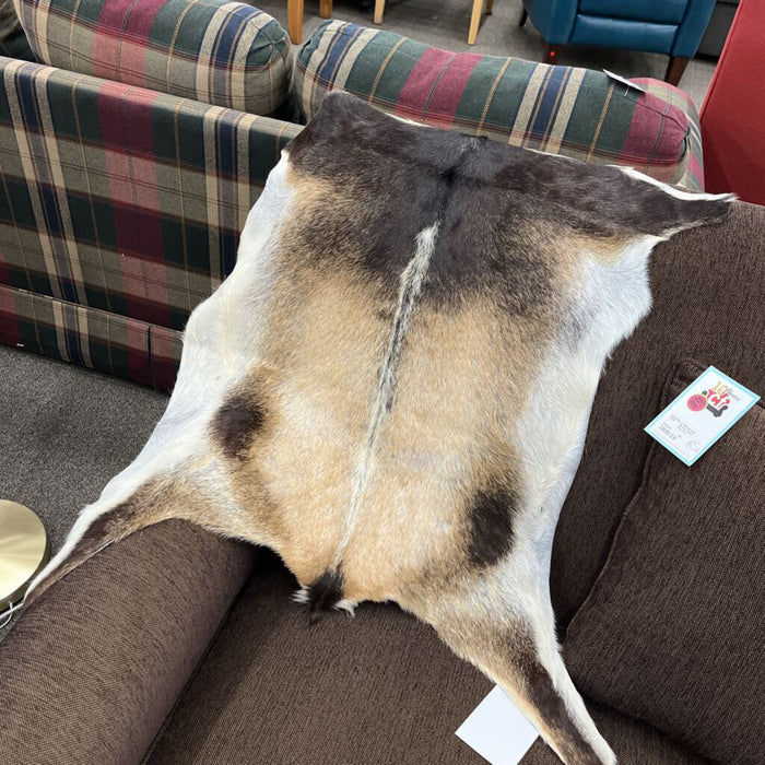 9009EXO Lg Goatskin Exotic Tones