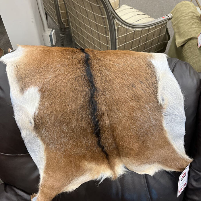 9009EXO Lg Goatskin Exotic Tones
