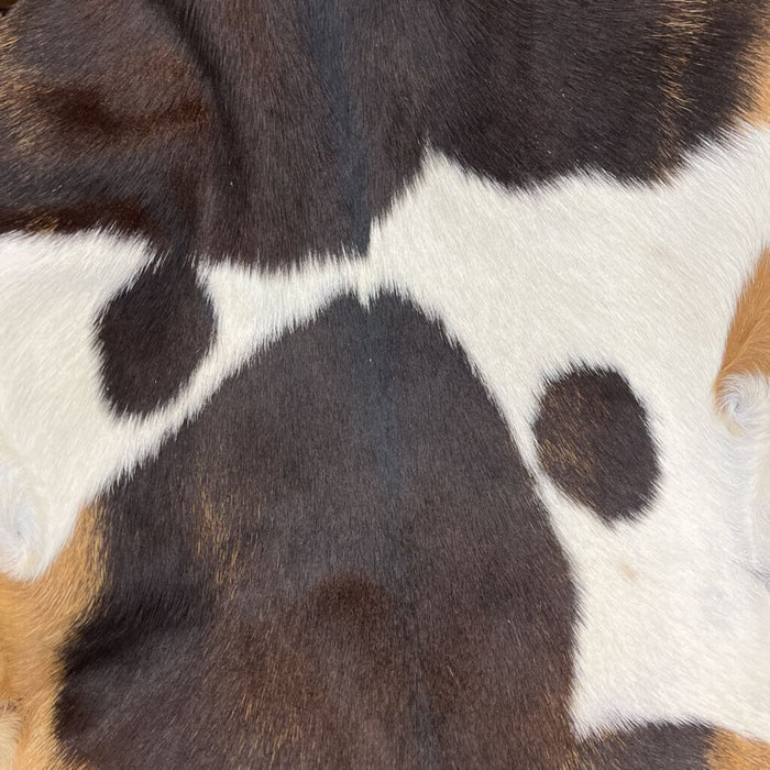 9009EXO Lg Goatskin Exotic Tones