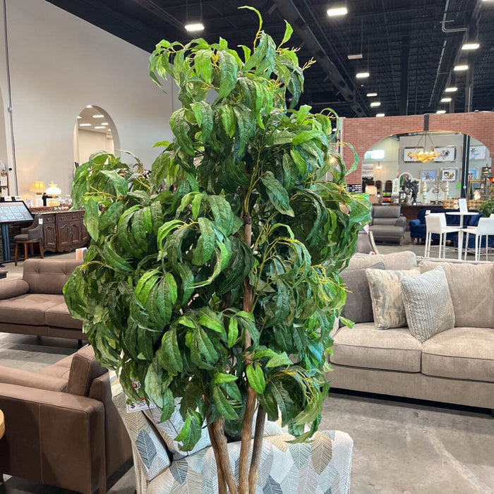 Tree in White Pot