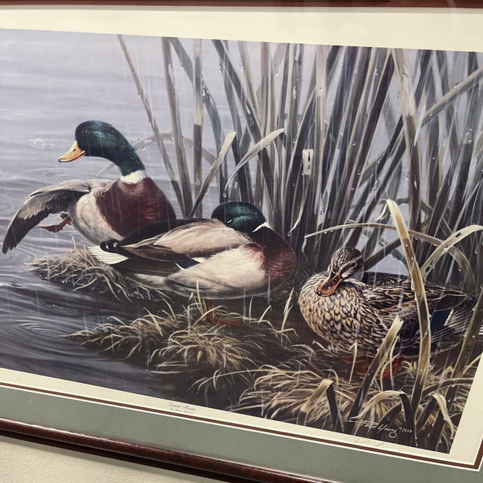 Ducks Unlimited Art