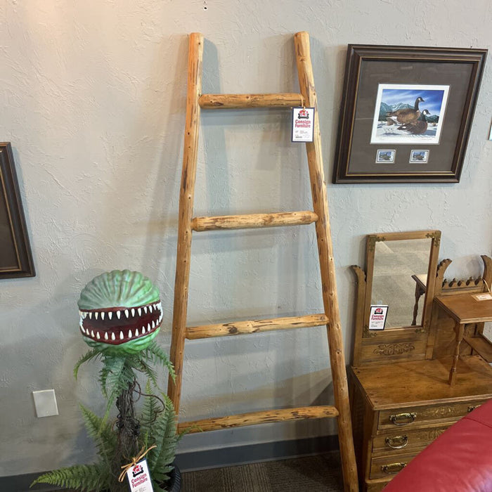 Wooden Ladder Blanket Rack