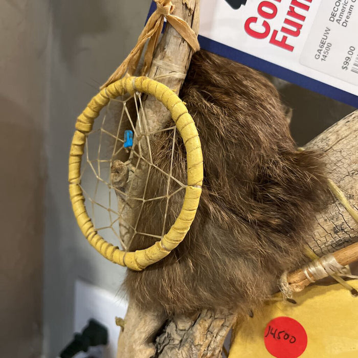American Indian Dream Catcher