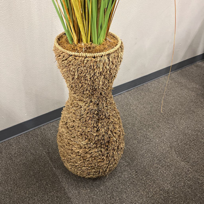 Green Onion Grass in Seagrass Pot