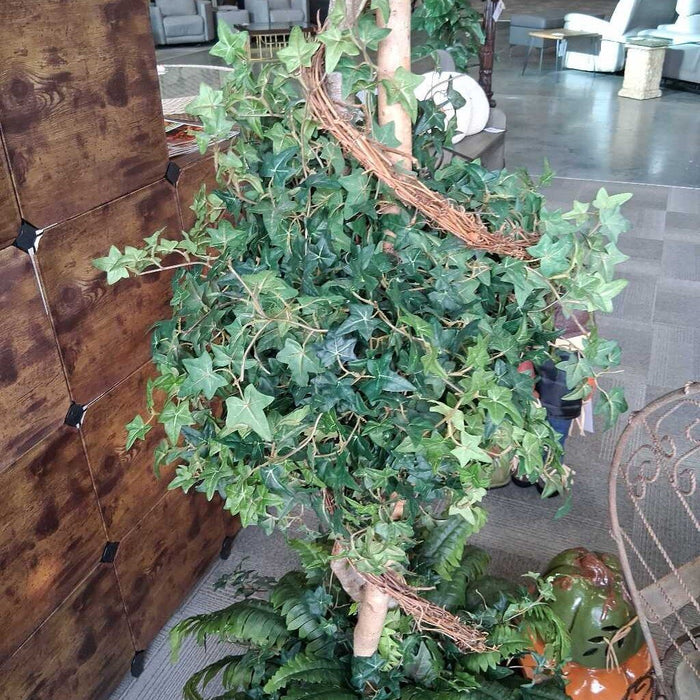 Ivy Topiary in "Bronzed" Pot