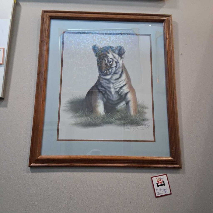 Harold Rigsby Baby Tiger Portrait