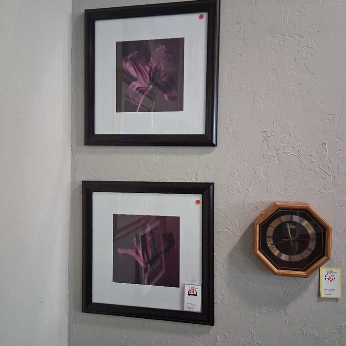 Set of 2 Floral Pictures
