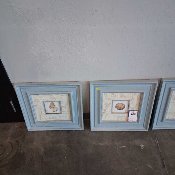 Set of 4 Blue Frame Shell Pictures