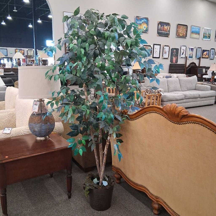 Faux Potted Ficus