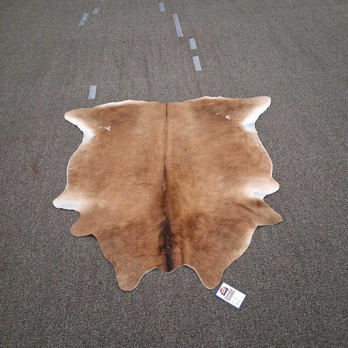 Small Brown Cowhide