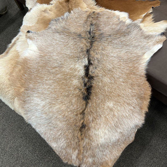 9009SOL Goatskin Hair Solid Tones - L