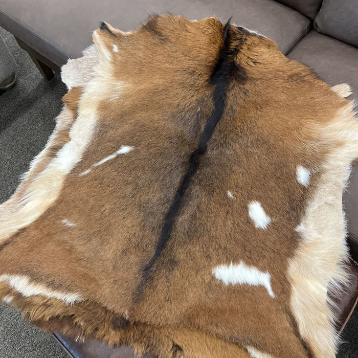 9009SOL Goatskin Hair Solid Tones - L