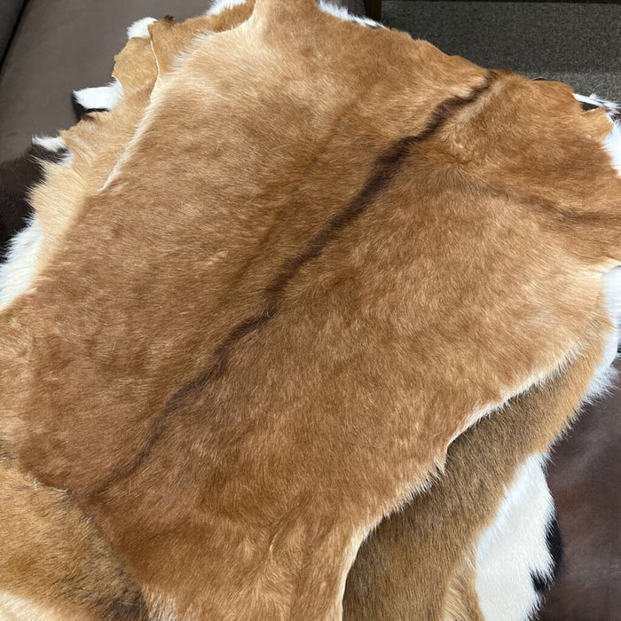 9009SOL Goatskin Hair Solid Tones - L