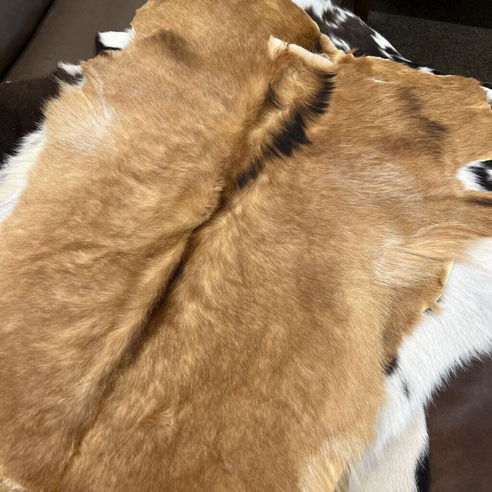 9009SOL Goatskin Hair Solid Tones - L