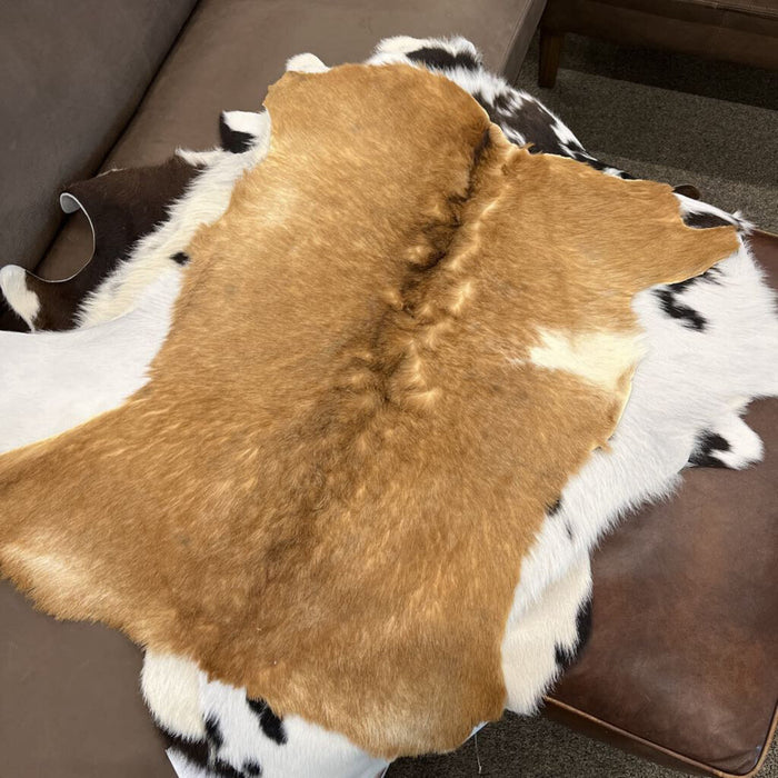 9009SOL Goatskin Hair Solid Tones - L