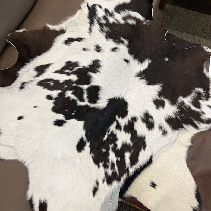 9065 Calfskin Chocolate Brown & White
