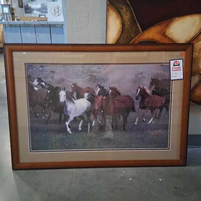 Framed Horse Picture