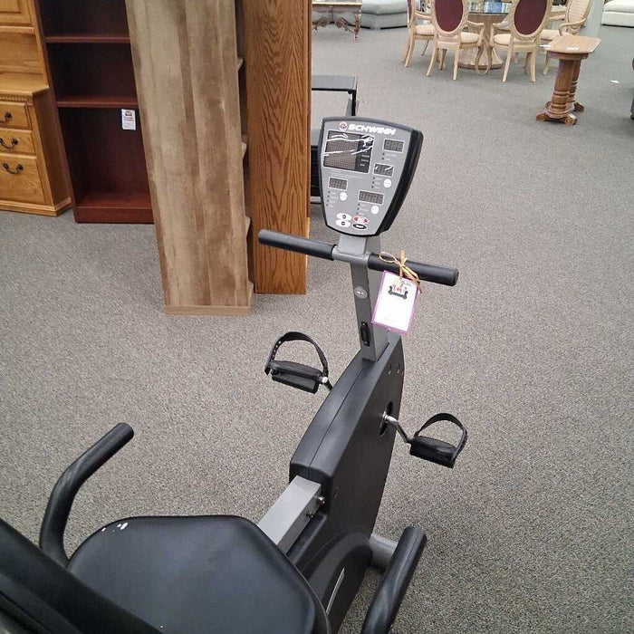 Schwin 220p Recumbent Exercise Bike