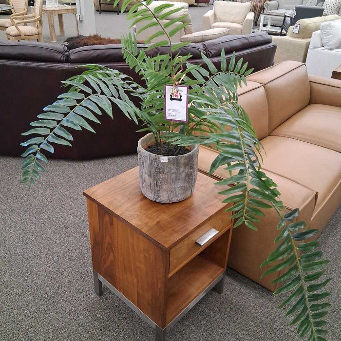Faux Plant in Brown/ Gray Pot