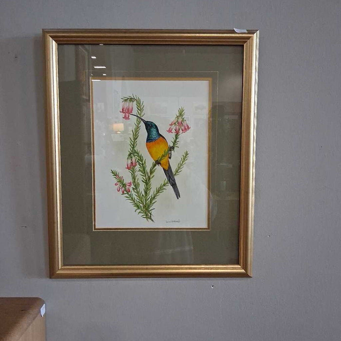 Set of 3 Gold Frame Bird Drawings