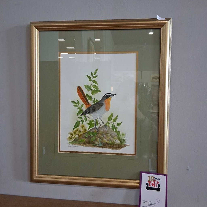 Set of 3 Gold Frame Bird Drawings