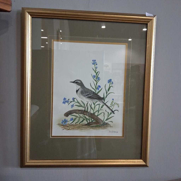 Set of 3 Gold Frame Bird Drawings