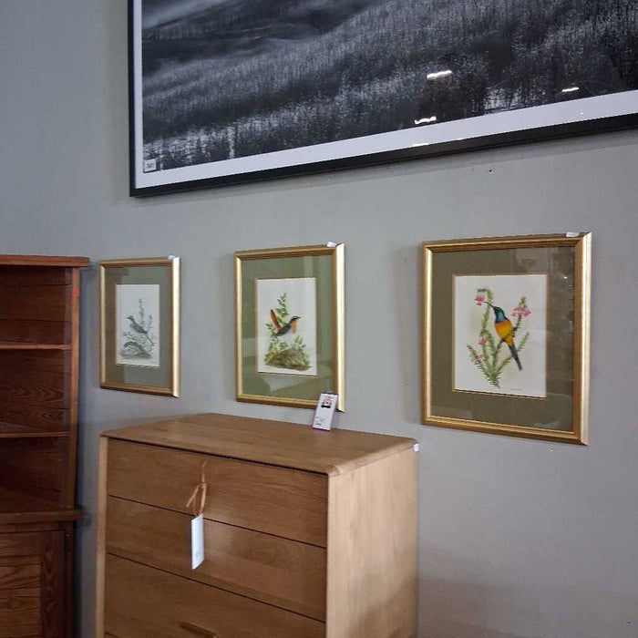 Set of 3 Gold Frame Bird Drawings