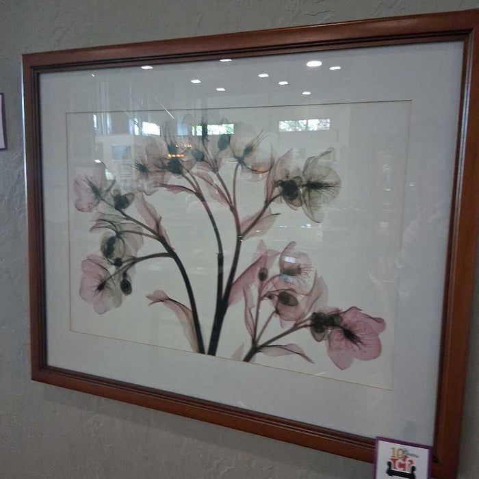 Framed Floral X-Ray Print
