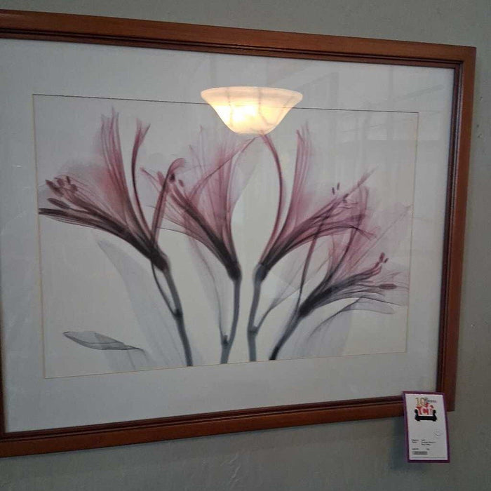 Framed Floral X-Ray Print