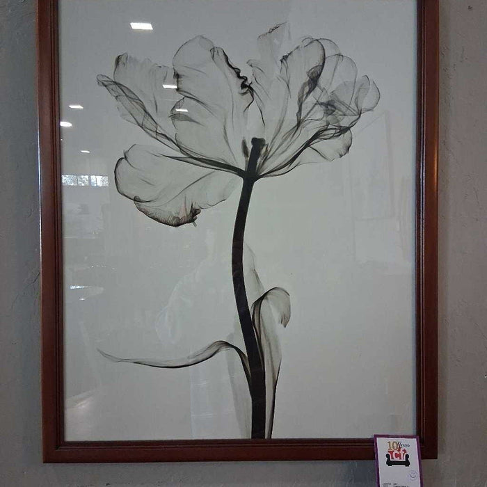 Framed Floral X-Ray Print