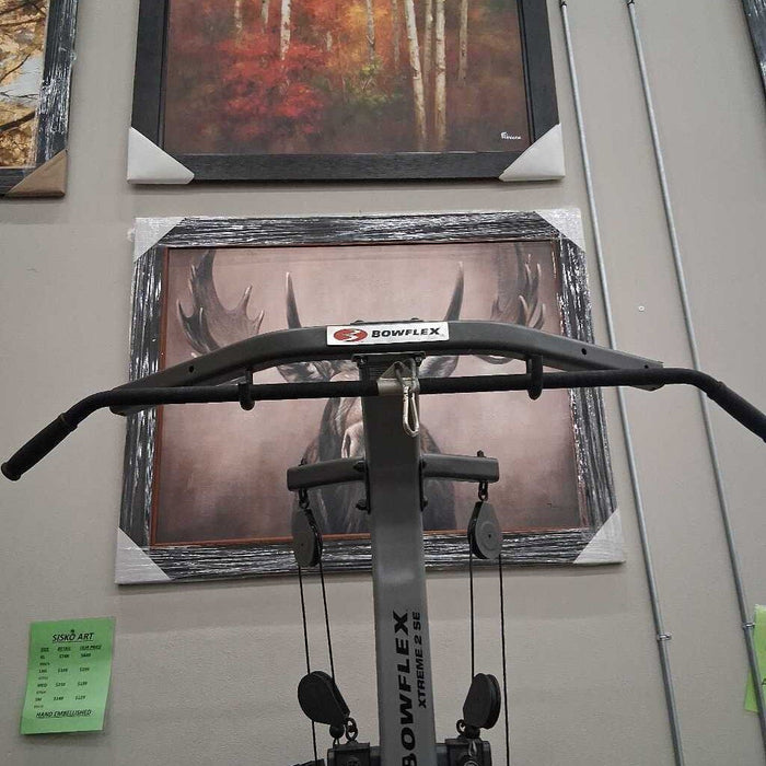 Bowflex Workout Machine