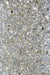PCB1119/56/58/97 : PCB1119B4