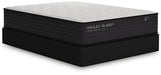 M41131